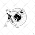 draw a high quality detailed illustration