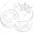 line art illustration, hand drawn, vector line art drawing