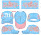 create trucker hat, snapback, dad hat, or beanie design