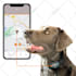 design professional graphics for amazon product listing images