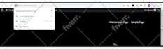 provide wordpress website maintenance and support or help