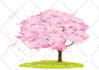 draw flowers or plants illustration for you