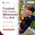 create editable social media posts,ads using canva