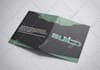 do professional real estate, church, event, and business flyer design