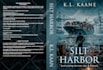 do premium book cover design or ebook design and interior formatting