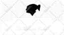 redraw or convert logo vector from low quality graphics
