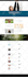 do wordpress website development, design or redesign wordpress blog website