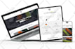build your professional dropshipping shopify store or shopify website