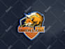 do animal mascot, eagle, wolf, bear, tiger, fox or lion logo