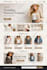 shopify store redesign shopify dropshipping store design shopify store redesign