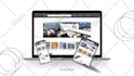 fix your wordpress bugs, errors, critical issues and wp help