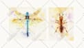 paint a watercolor bug illustration