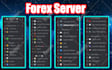 setup crypto, stocks, forex, nft discord server