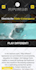 develop a responsive wordpress website design just for you