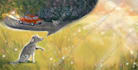 illustrate a childrens book and book cover