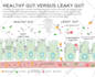 be your infographics artist
