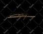 design a handwritten scripted calligraphy cursive signature logo name