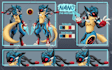 draw your furry character reference sheet