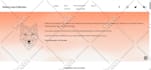 design, redesign shopify pod store, shopify dropshipping store, shopify websites