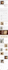 build shopify website, design or redesign, shopify store and dropshipping store