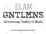 create stunning logo in vector format