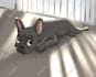 draw pet portrait with disney style