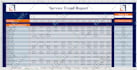 design an excel spreadsheet or a userform for your business