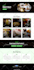 redesign wordpress website or build wordpress website