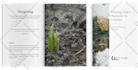 make magazine mockup using your image