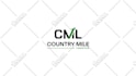 design a custom logo for you in 48h