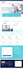 develop and design professional dynamic wordpress website