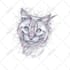 draw your pet into awesome scribble art