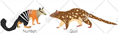 create simple flat realistic vector animal illustrations