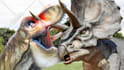 design youtube thumbnail for animal channel