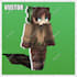 make the best and high quality minecraft skins you want