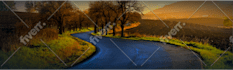 design website banner, header, slider, hero image, and web banners