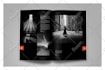 design professional brochure, catalogue, proposal, magazine quickly