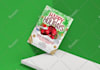 design a professional quality buisness flyer