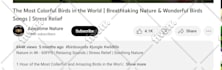 do monthly website seo service for google top ranking