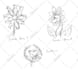 do some rough concept art sketch