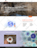 edit or update wordpress website