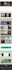 design wordpress website on bluehost, siteground, hostinger