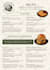 design brandbook and brand guidelines