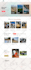 install and customize wordpress themes and plugins