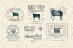 design hand drawn vintage logo illustration