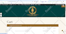 design, redesign website, build wordpress website or blog