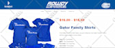 design and develop a fully responsive wordpress website