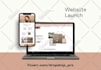 build shopify store or dropshipping ecommerce store, shopify website