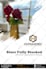 make awesome flyer and posters for you