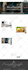 design and develop wordpress website